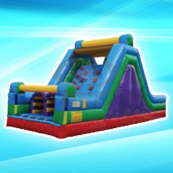 Rock Wall and Slide