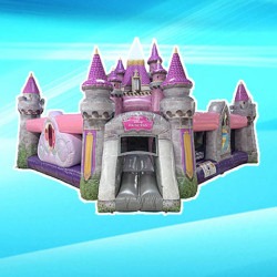 disney princess Palace